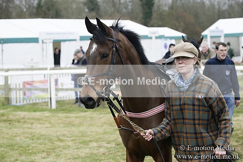 PtP 110318 6 - Hampshire Hunt Point-to-Point Hackwood Park 11/03/18