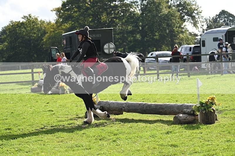 WJ7_3726 - 40cm Time 10:26 to 10:42