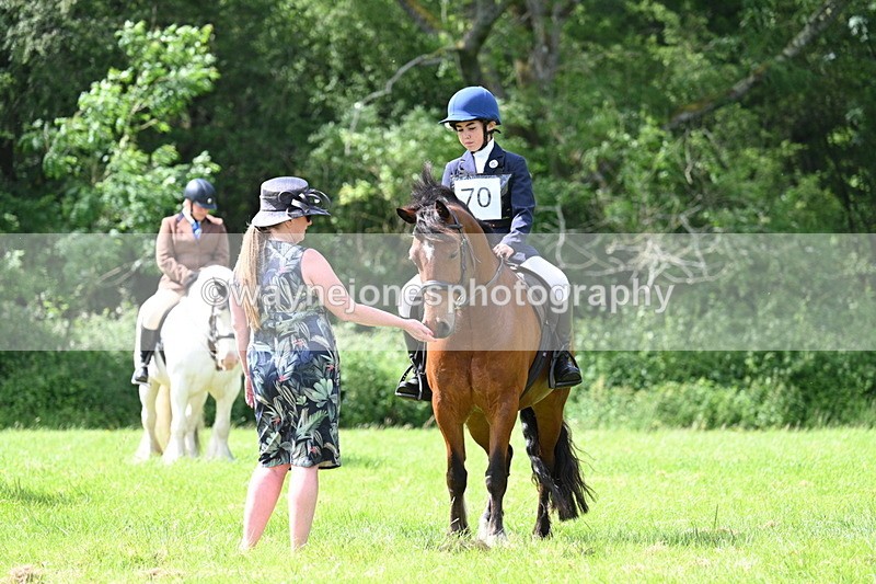 WJ7_1372 - Class 11 Condition & Turnout