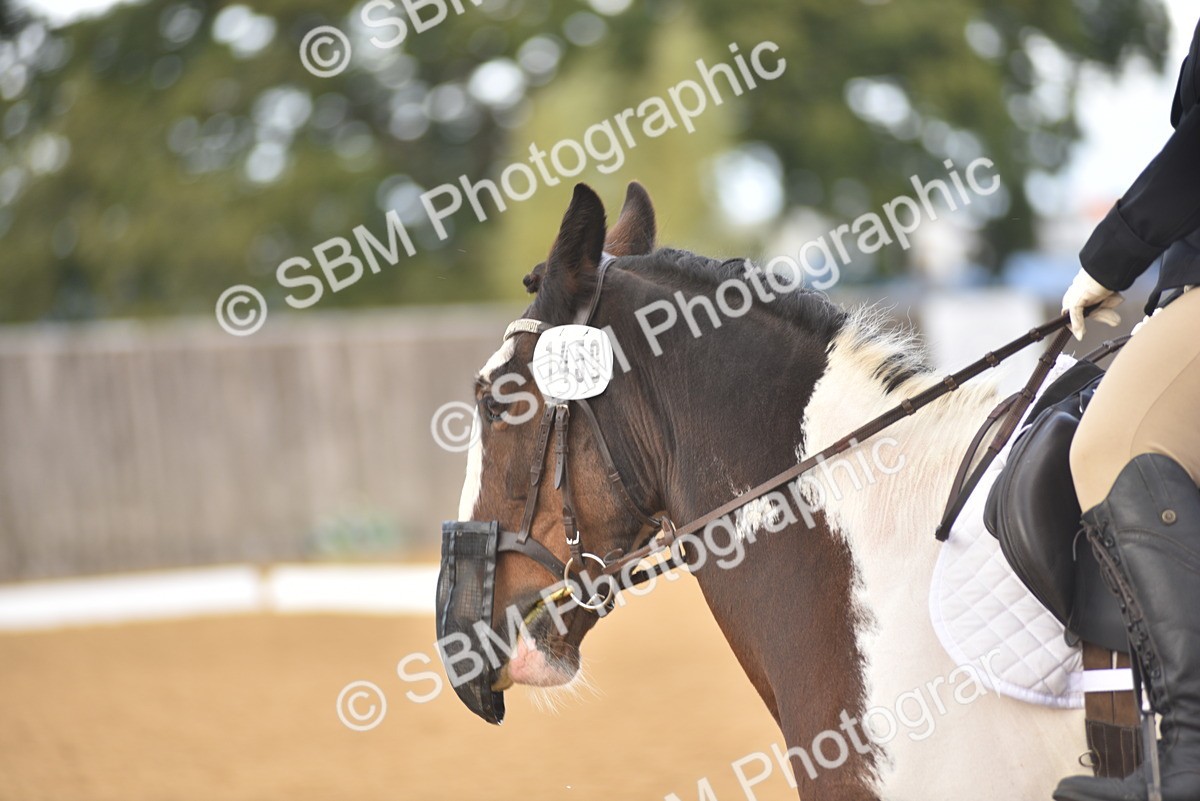 SBM_22358 - D13 - Grand Tour Championship Prelim 3