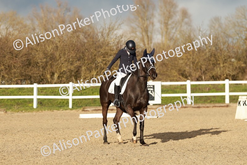 20260314-6316 - CT7 - Elementary 2