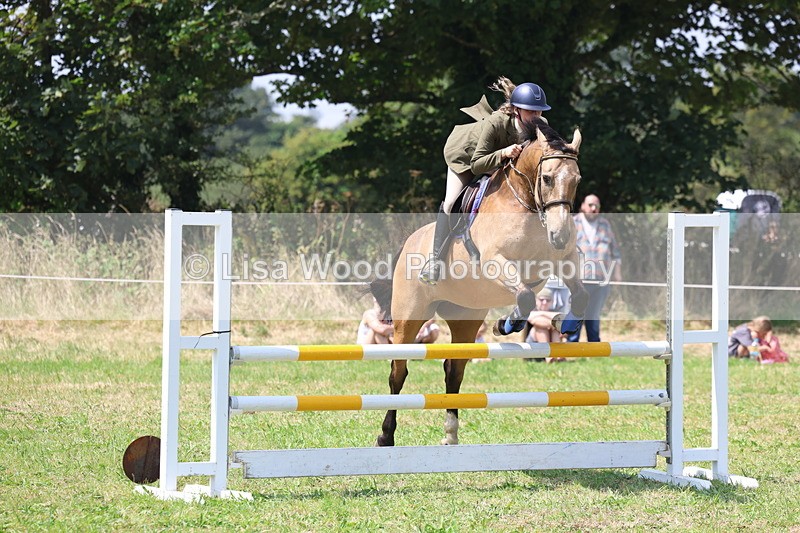 3E7A2982 - Class 7: Senior British Novice/90cm open