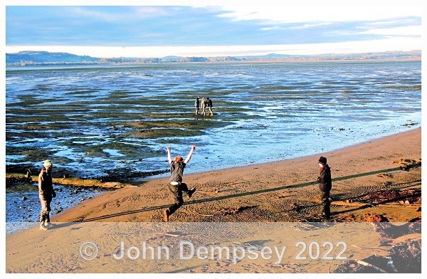 RSPB 4B - Montrose Basin