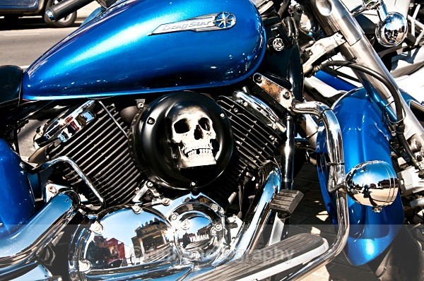 Skull in Bike - Engines