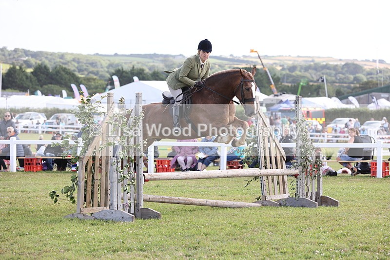 JPP_2521 - Class 20: Working Hunter 70cm