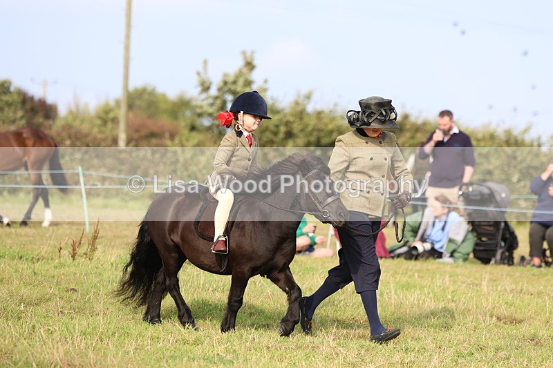 3E7A3686 - Class 2: Lead rein