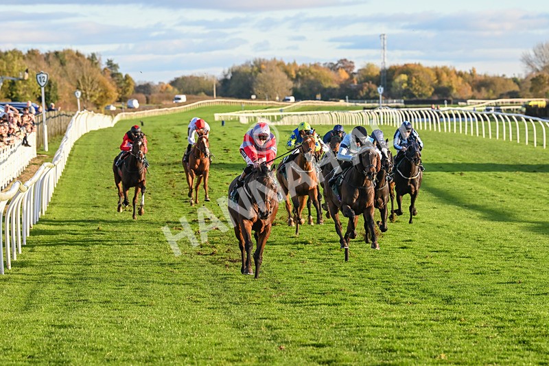 291024-Race 6-Count DOrsay-6330 - Race 6