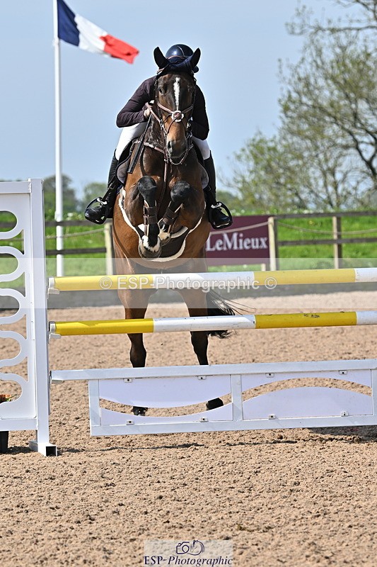 240509A-103057-00894 - Cls 8 Foxhunter