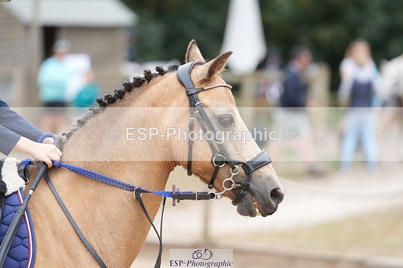 250820A-113705-04322 - Round 2, 10.45 to 11.45 Break