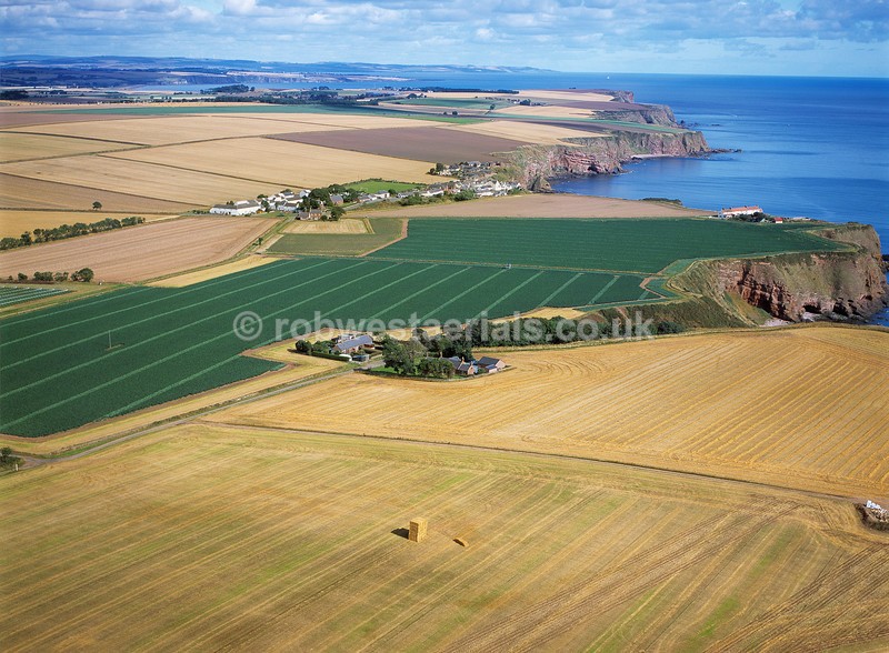 A00689J Tanglehall to Auchmithie coastal village - East and north coastlines