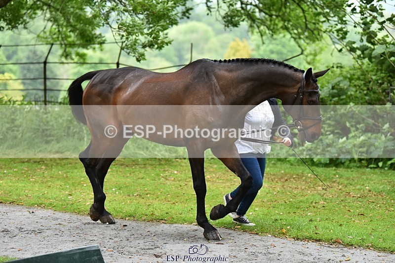 240522-155504-00585 - 165-RIDIRE_DORCHA-Lucy_Stimson