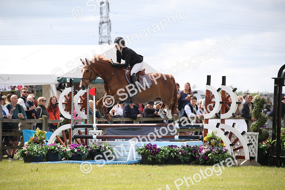 SBM_17483 - Class 208 - Senior Foxhunter 1.20m Open
