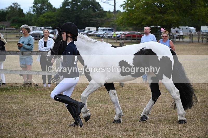 WJ6_8102 - Class 10 Coloured in Hand