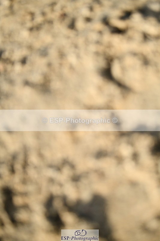 251004A-162439-02056 - Classes 10 & 11 80cm