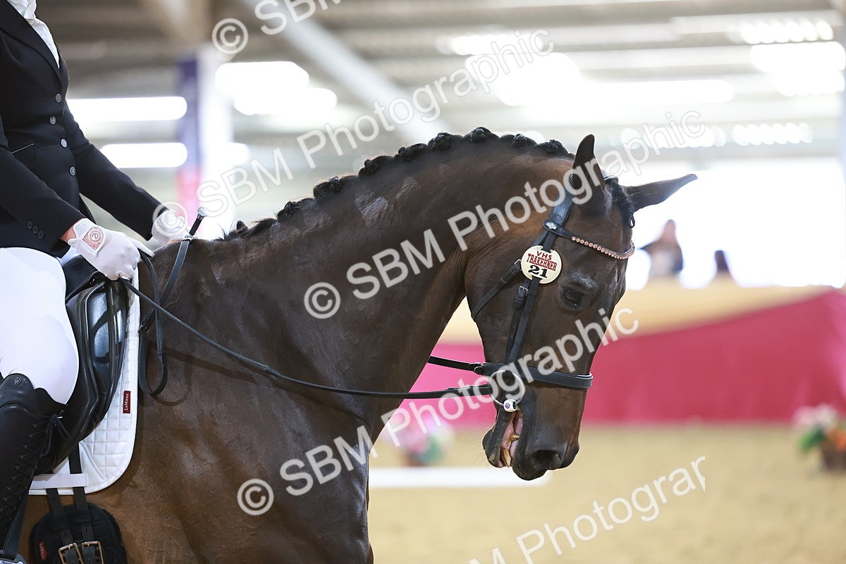 SBM_06567 - Class 61 - Dressage to Music