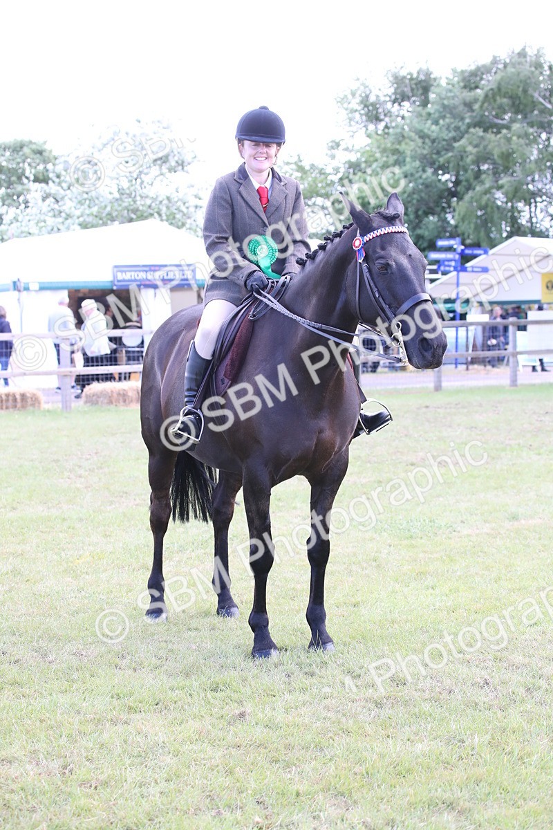 SBM_13279 - Class 95-96 - LIHS BSHA Rising Star Hack Riding Horse