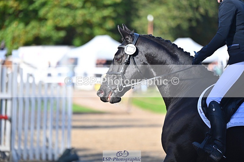 241027-103753-16413 - 417-Abigail.Brittain-CNC.FUTERMA