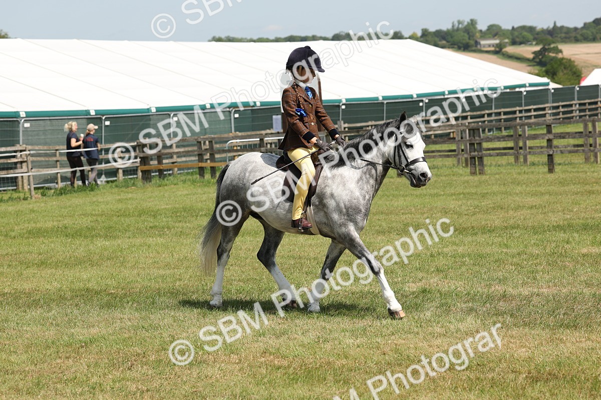 SBM_05351 - Class 24-25 - Mountain & Moorland In Hand Lead Rein and First Ridden
