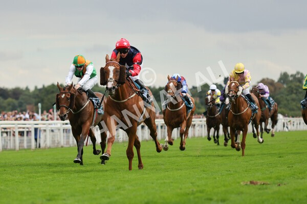 yr04092022r5-30 - Race 5 4.05pm Little Green Rascals Children's Nurseries Stakes