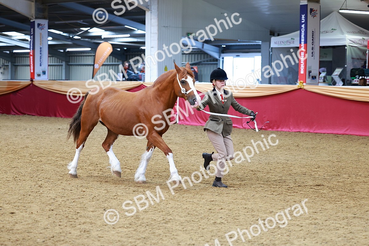SBM_00558