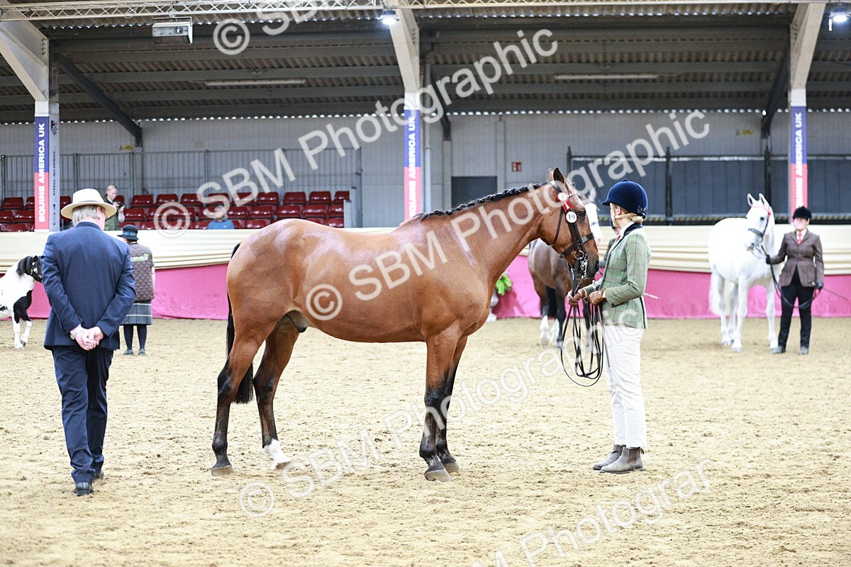 SBM_01191 - Class 3A - Area IH Pre-Vet