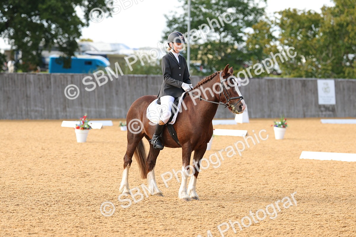 SBM_49650 - D22 - Junior Championship - Intro B