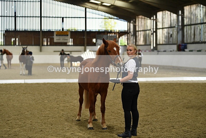 WJ5_3975 - Class 2 Best Condition In hand