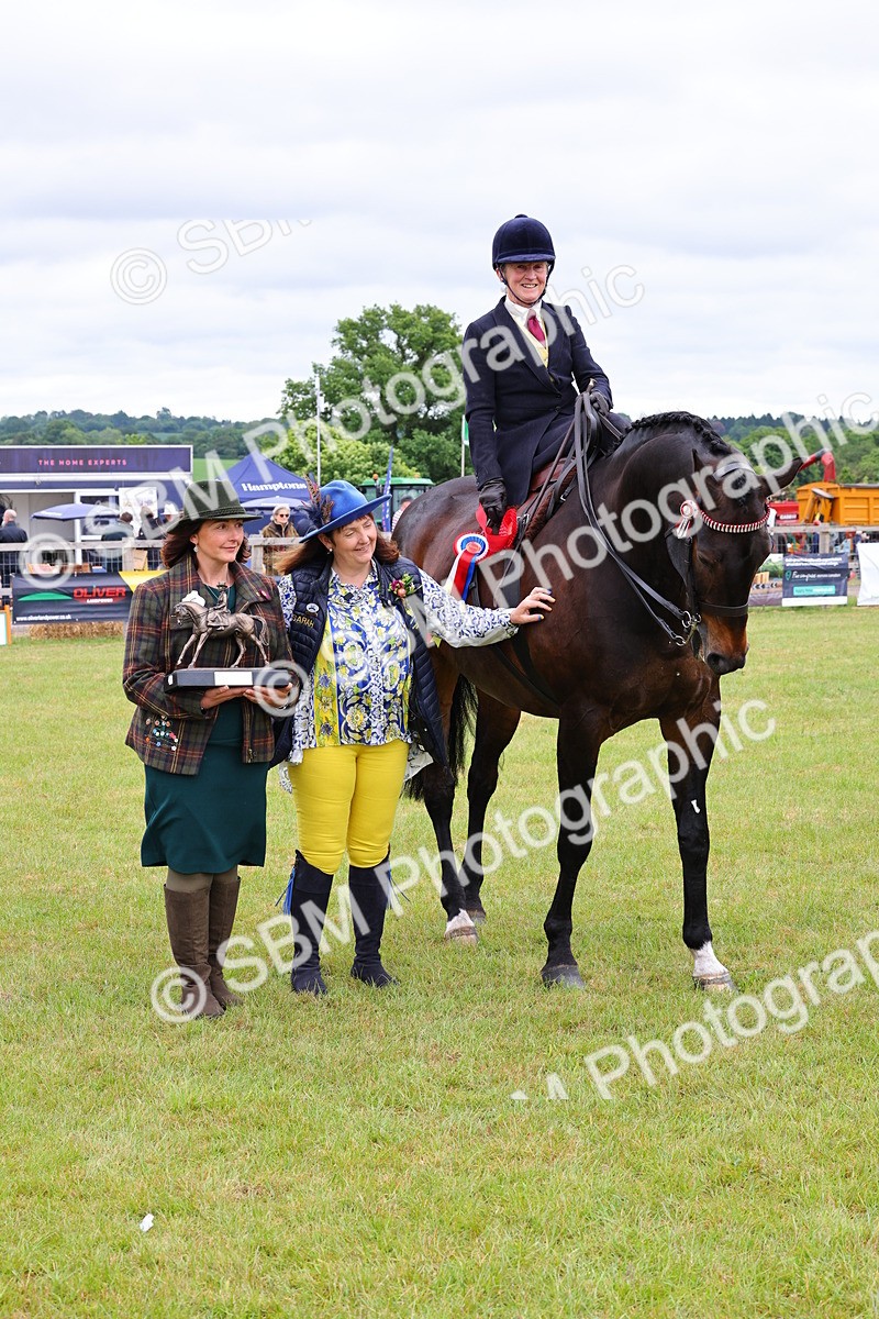 SBM_02892 - Class 9-11 Side Saddle including LIHS Rising Star Ladies Show Horse