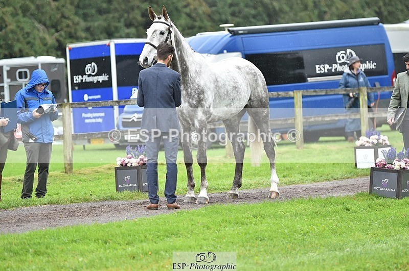 231018-124748-00525 - 067-WHIXLEY.QUALITAS-Barnie.Brotherton-TrotUp