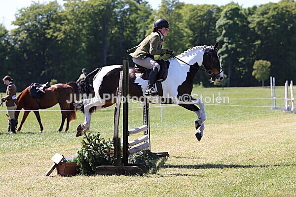 IMG_4088 - Working Hunter