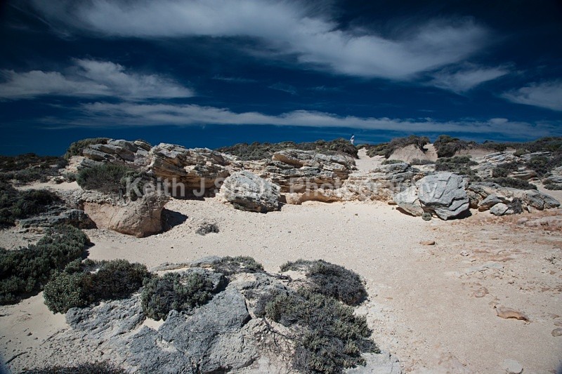 YR6M7862jpg  (RM) - Worldwide