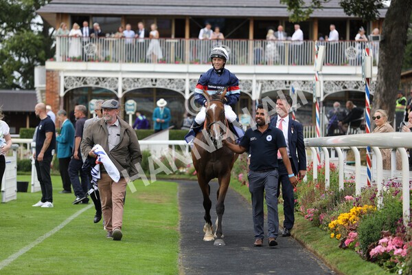 yr23072022r3-46 - Race 3 3.15pm Sky Bet York Stakes
