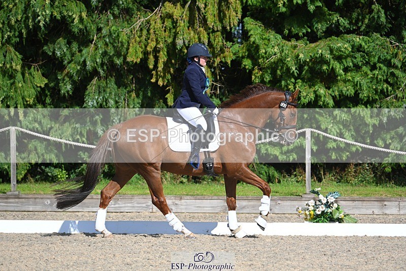 230811-162613-02680 - Prelim Bronze Presentations