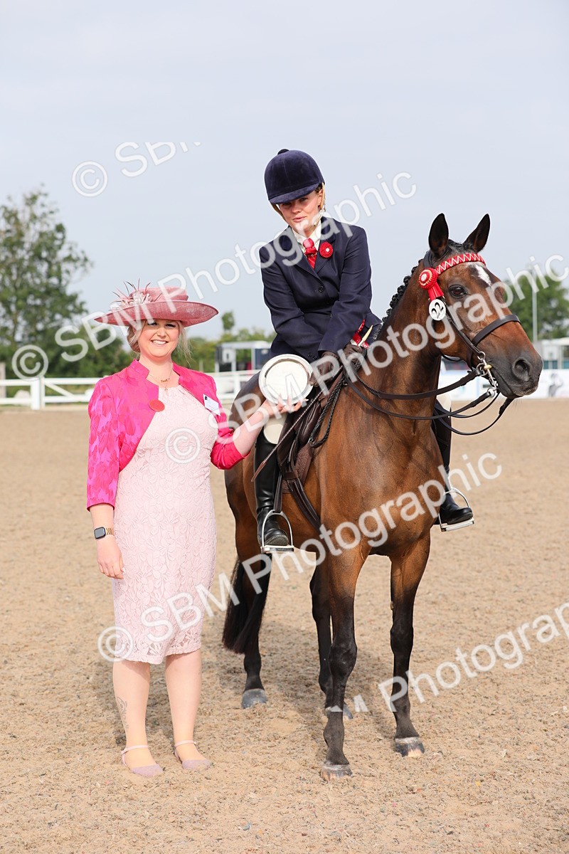 SBM_10723 - Class 303 Ridden Pure Bred Horse/Pony (excl M&M)
