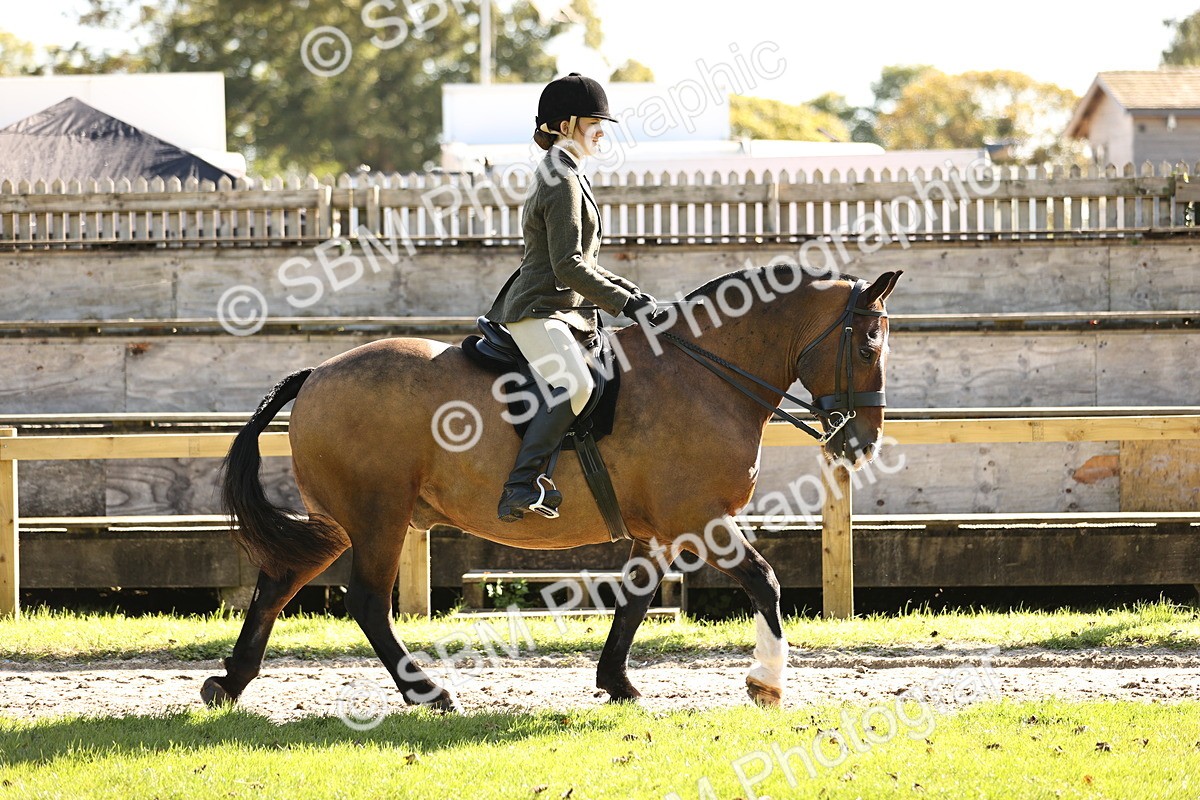SBM_19064 - S3 - TSR Ridden Pony Showing