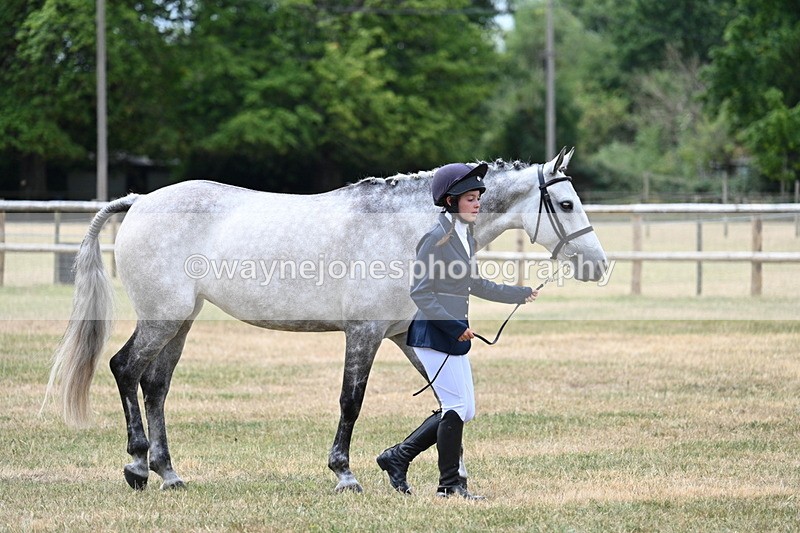 WJ7_1876 - Class 4a Prettiest Mare 14.2hh and over hand
