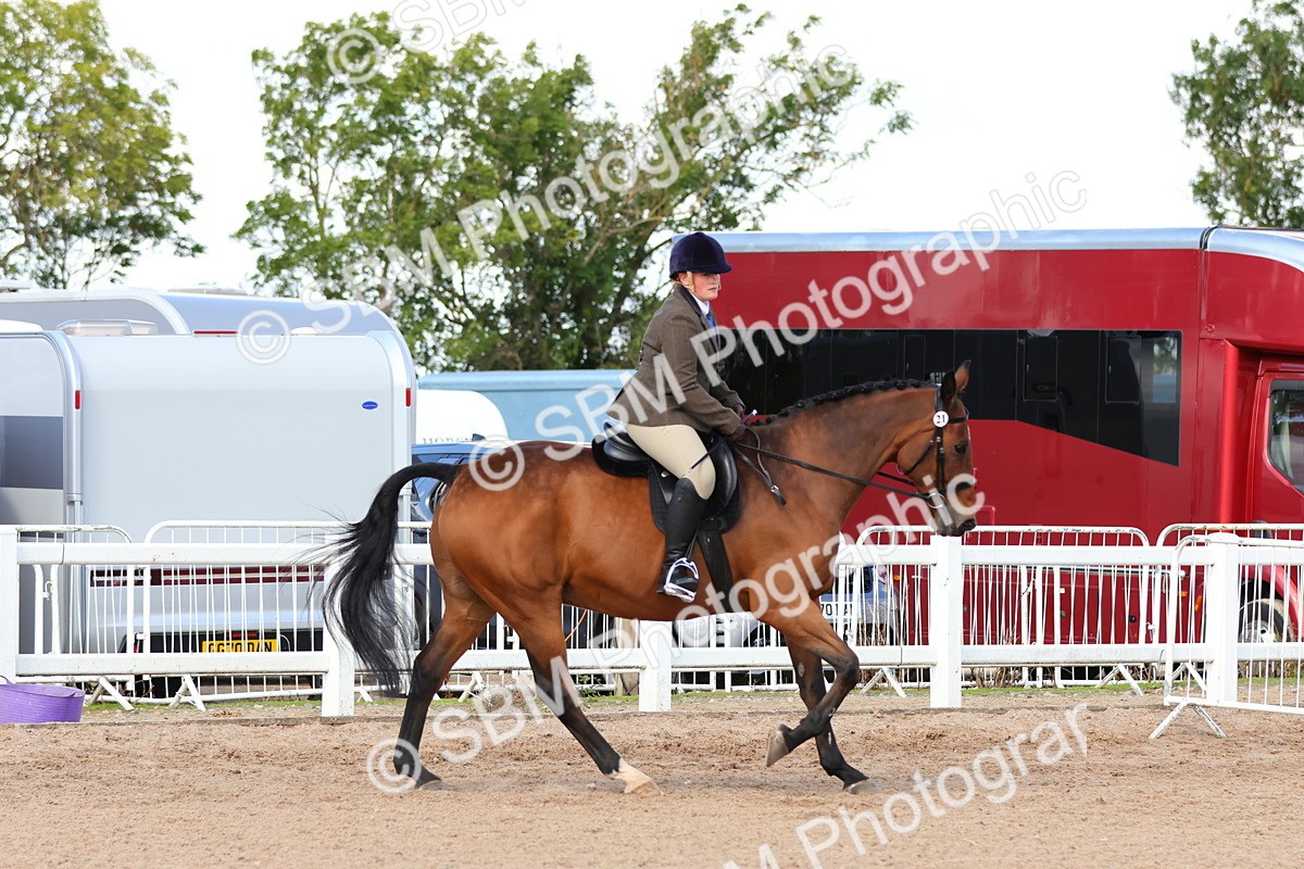 SBM_13487 - Class 212 - Ridden Hunter  - Large