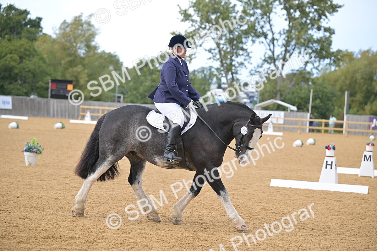 SBM_09272 - D8 - Small Tour Championship Prelim 1