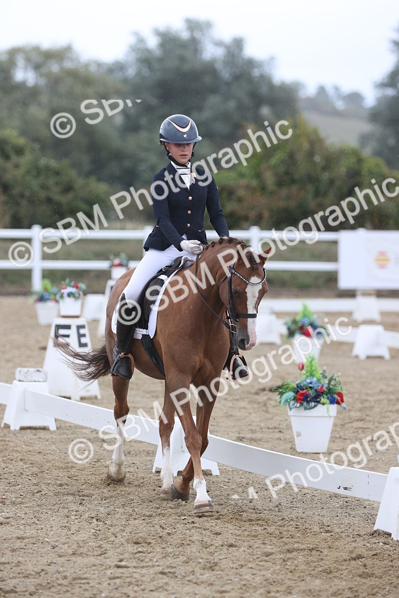 SBM_004329 - Class 9 - Novice 3 Champs