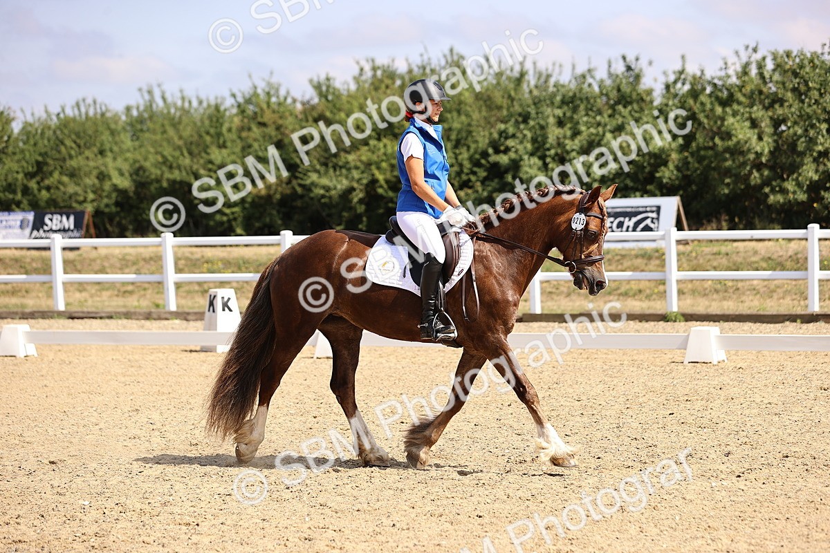 SBM_006530 - Intro 3 - 9.46-10.46