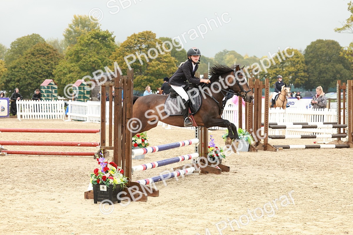 SBM_71104 - J14 - Junior Pony 65cm Championship