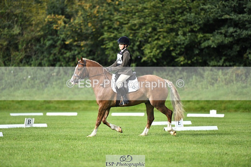 230826-091116-15046 - Sections C & D 9 to 10am