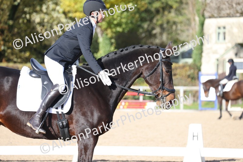 20251101-0611 - Class 4 - Novice 2