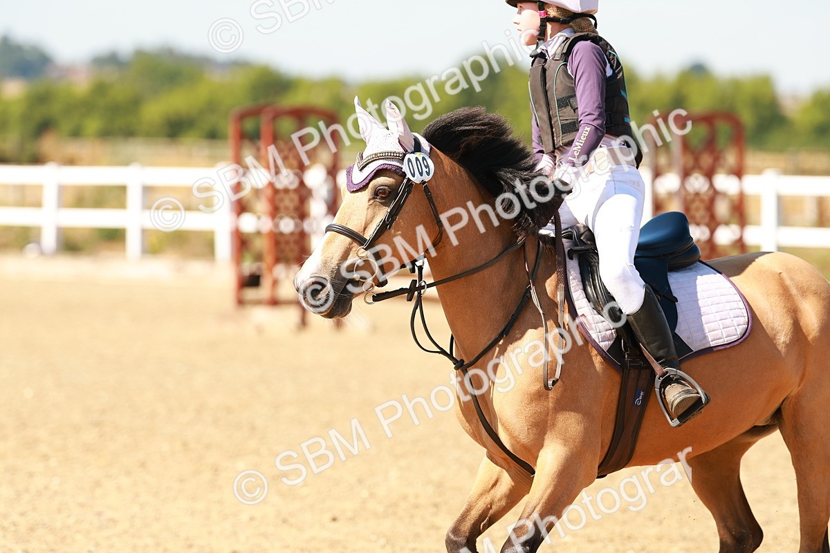 SBM_000685 - AE - 50cm