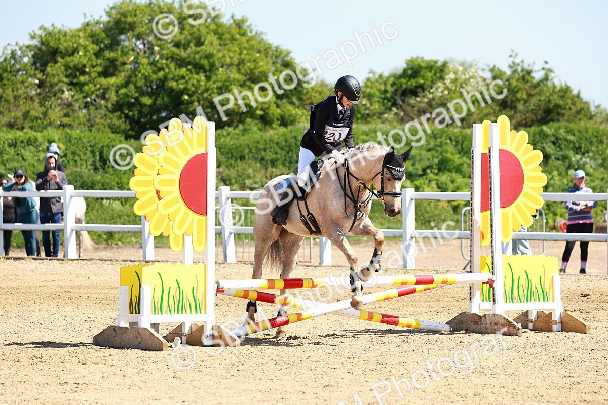 SBM_007396 - Class 3 - 60cm