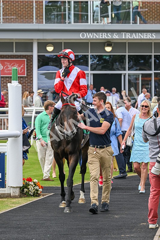 030824-Race 5-La Trinidad-1869 - Race 5