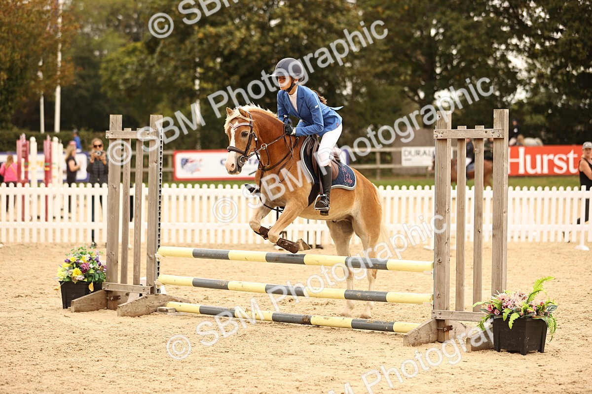 SBM_72604 - J14 - Junior Pony 65cm Championship