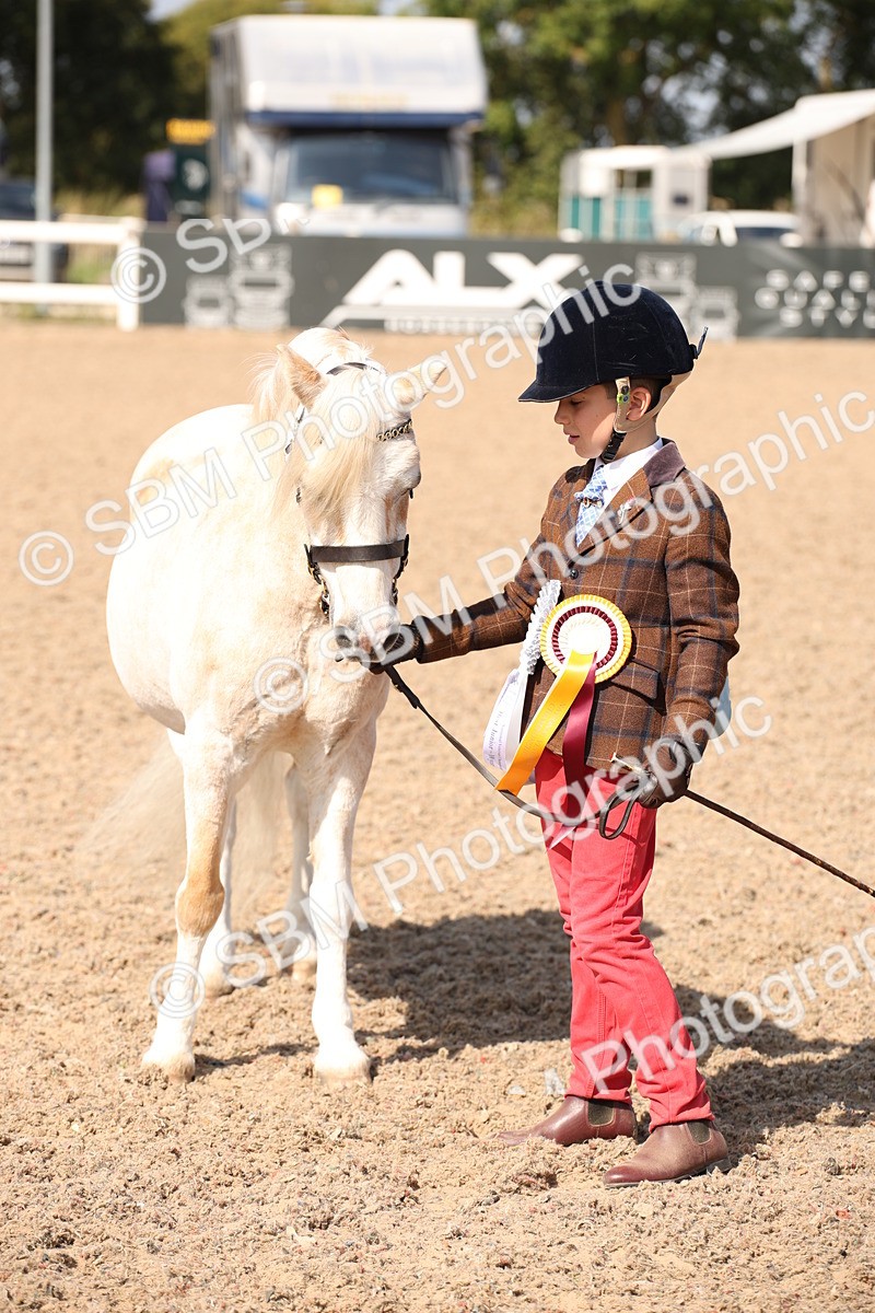 SBM_03074 - Class 17 Prettiest Mare IH or Ridden