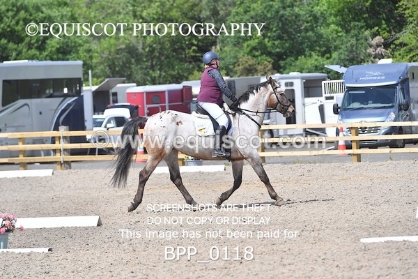 BPP_0118 - SHORT ARENA  MY QUEST PRELIM