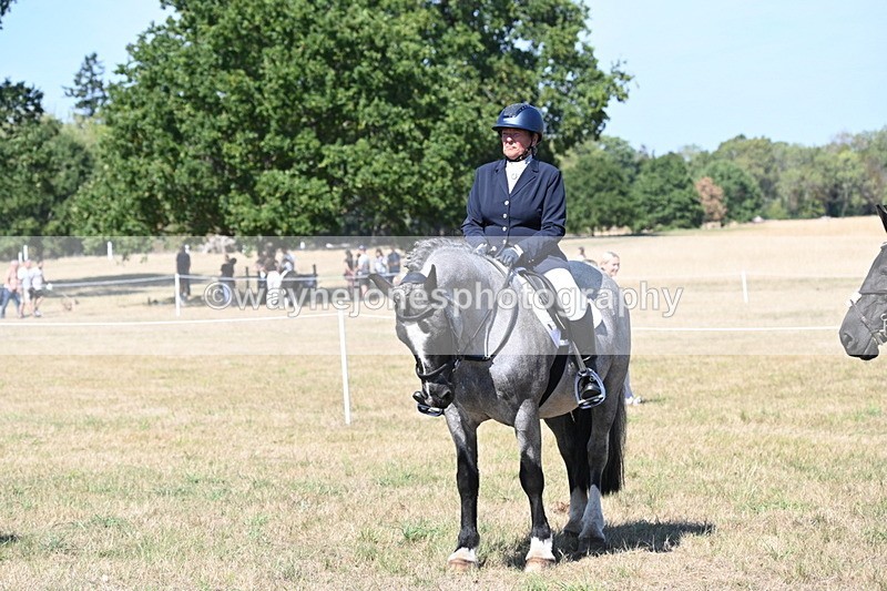 WJ6_9008 - Class 38 Ridden Riding Horse/Pony